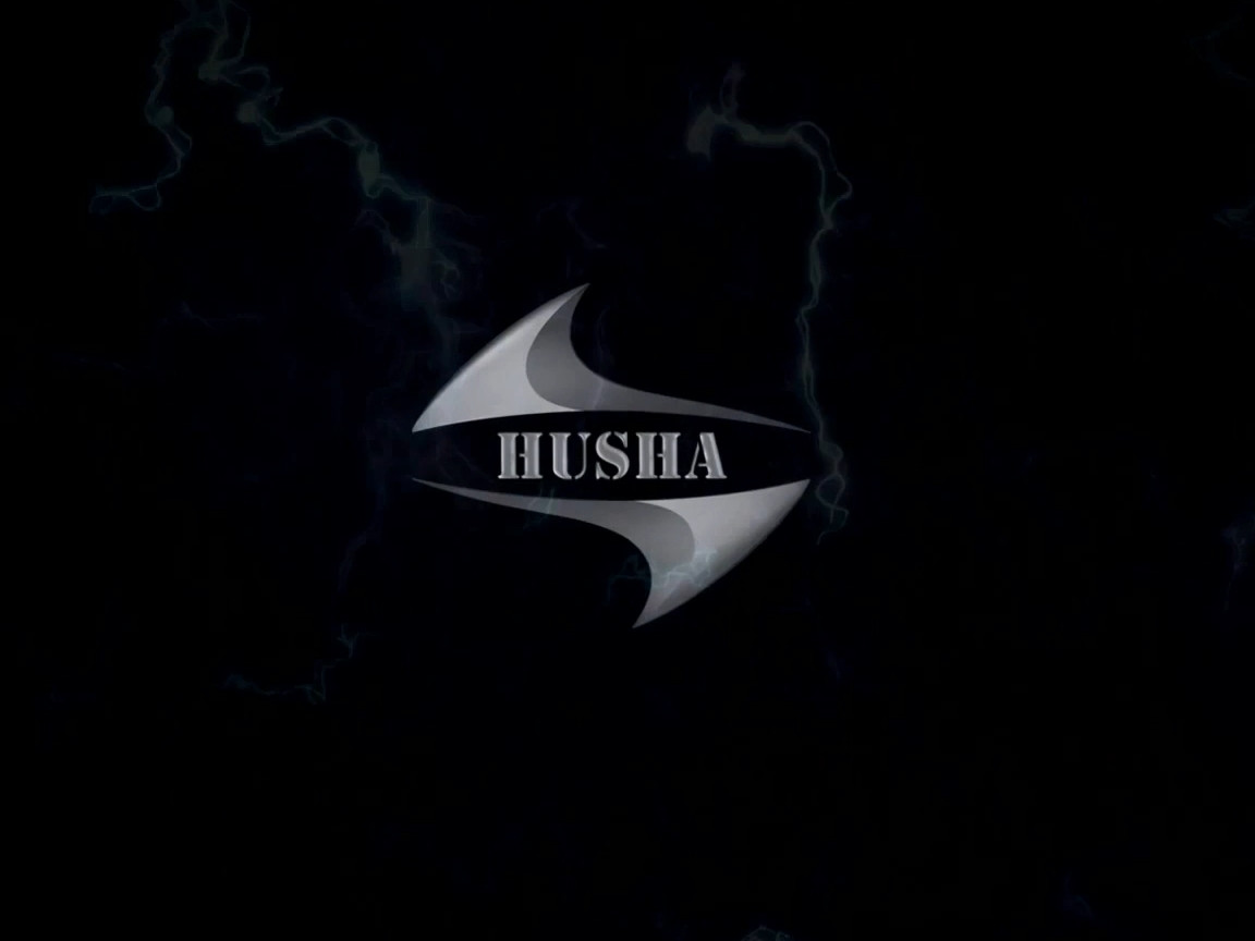چین HUSHA GROUP مشخصات شرکت